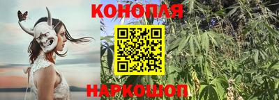 a pvp Дубна