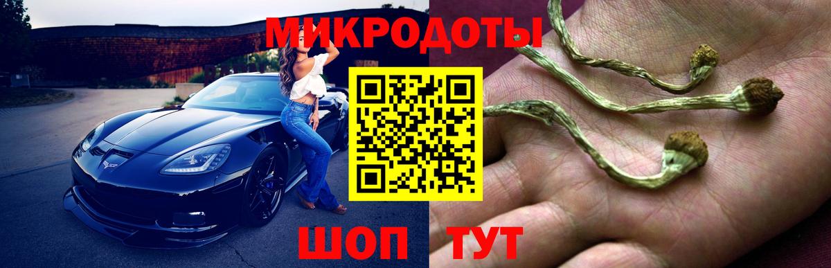 Псилоцибиновые грибы Magic Shrooms  Галлюциногенные грибы мицелий  Муравленко  Вход с VPN 